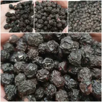 آلبالو گیلاس