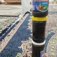 شیره خرما مضافتی در نرماشیر