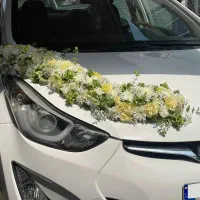 اجاره ماشین|خودرو اجارهای|لاهیجان, گلستان|دیوار