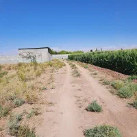 زمین-باغی-اسماعیل-آباد-جوپار