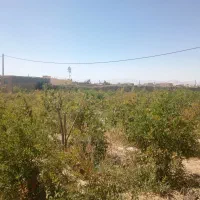 انبار وباغ|فروش زمین و ملک کلنگی|شهرضا, |دیوار