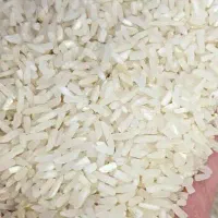 برنج فجر سوزنی درجه یک|خوردنی و آشامیدنی|گرگان, |دیوار