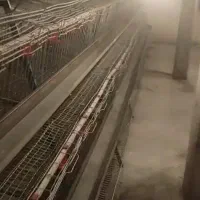 قفس مرغ تخم گذار