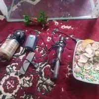 اکواریوم معاوزه با پرنده