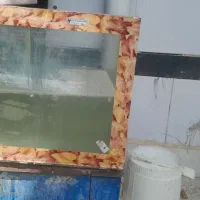 آکواریوم