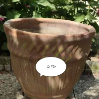 گلدان سفالی|گل و گیاه طبیعی|گنبد کاووس, |دیوار