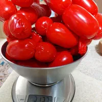 محصولات پروتئینی خانگی بدون مواد نگهدارنده|خوردنی و آشامیدنی|ری, فیروزآبادی|دیوار