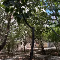 اجاره خانه ویلایی در فاز ۵ مهرشهر