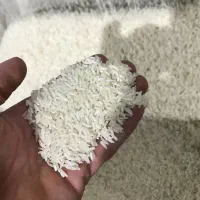 برنج هاشمی درجه ۱ آستانه