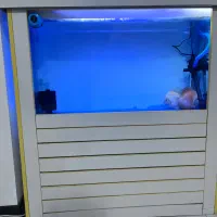 اکواریوم یک متری مجهز