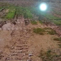 زمین-کشاورزی-کهنوج