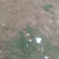 زمین فروشی درکلور شاهرود