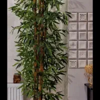 برگ خیزران بامبو چوب بامبو|صنایع دستی و سایر لوازم تزئینی|قزوین, |دیوار