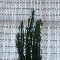 گل طبیعی|گل و گیاه طبیعی|تهران, دهکده المپیک|دیوار
