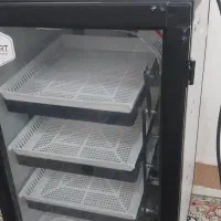 دستگاه جوجه کشی ۱۶۸تایی اسکندری|لوازم جانبی حیوانات|مشهد, امیریه|دیوار