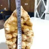 سنگ راف کلکسیونی