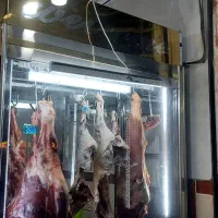 استخدام در قصابی