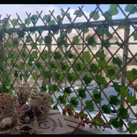 چمن مصنوعی|گل مصنوعی|مشهد, میعاد (شهرک غرب)|دیوار