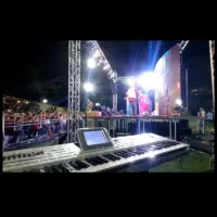 موزیک ، موسیقی زنده ،عمو موسیقی لباس عروسکی تنپوش|خدمات پذیرایی، مراسم|تهران, پونک|دیوار