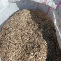 ذرت علوفه ای .کاه گندم ..کو.