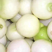 کارگر ساده