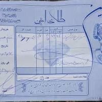 نیم ست طلای نو|جواهرات|نسیمشهر, |دیوار