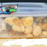 دستگاه جوجه کشی