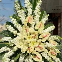 مداح مجالس