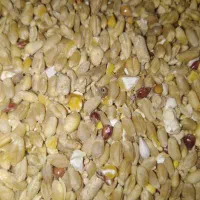 ارزن ریز|لوازم جانبی حیوانات|اصفهان, جاوان|دیوار