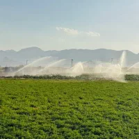 زمین ۴۰۰۰ متری صحرا ده سرخ سنددار مناسب باغ