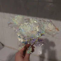 گل رز کرومی