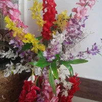 گلهای خارجی