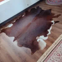 فرش پوست گاومیش|فرش|تنکابن, |دیوار