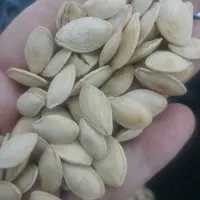 تخمه