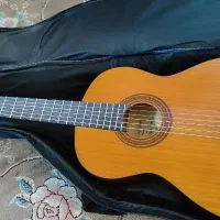 گیتار مارسلو