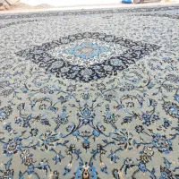 فرش|فرش|نیمروز, |دیوار