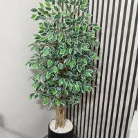 درختچه بنجامین با گلدان بزرگ مدل جدید|گل مصنوعی|اهواز, حصیرآباد|دیوار