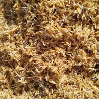 جو آماده باکس