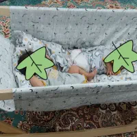 گهواره ننو