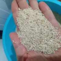 نیم دانه ریز