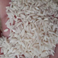 برنج هاشمی خوش عطر و پخت از شفت|خوردنی و آشامیدنی|رشت, پل تالشان|دیوار