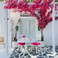 جشنواره عکاسی پاییزه|خدمات پذیرایی، مراسم|اسلامشهر, باغ فیض|دیوار