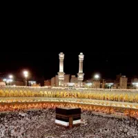 خریدار فیش تمتع