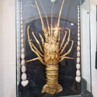 فروش تابلوشاه میگو وخرچنگ بزرگ