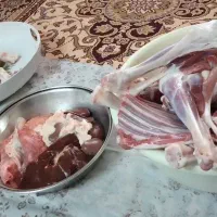 قصاب .سلاخ.قصابی.سلاخی|خدمات پذیرایی، مراسم|زنجان, |دیوار