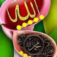آموزش هنری  خطاطی روی شکر و برنج