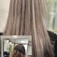 رنگ و لایت رایگان