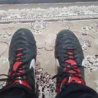 کفش اورجینال فوق العاده تمیز|کیف، کفش، کمربند|گنبد کاووس, |دیوار