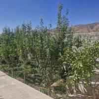 ویلا آماده با شرایط پرداخت اقساطی دماوند آبسرد|فروش خانه و ویلا|تهران, تهرانپارس شرقی|دیوار