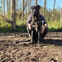 فروش توله سرابی اصیل